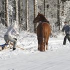 ...Winterfreuden...