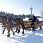 Winterfreuden am Eisenberg