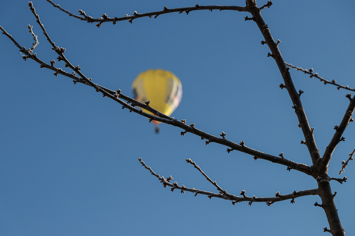 Winterfreuden am Himmel