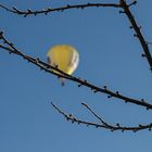 Winterfreuden am Himmel