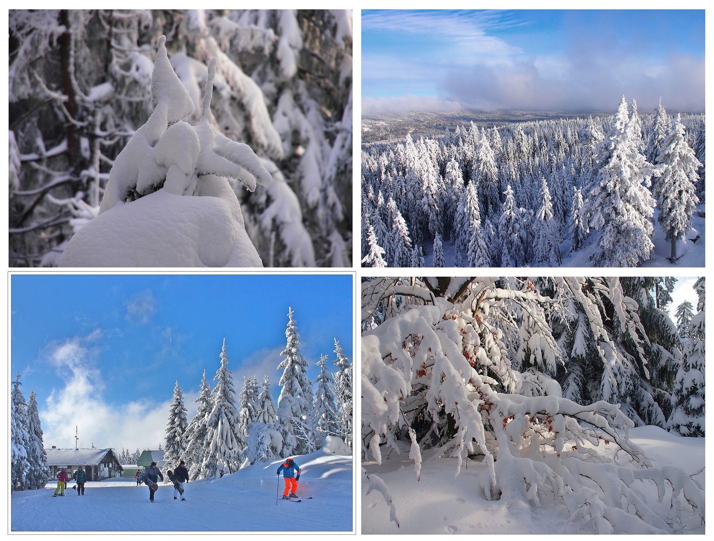 Winterfreuden am Ochsenkopf