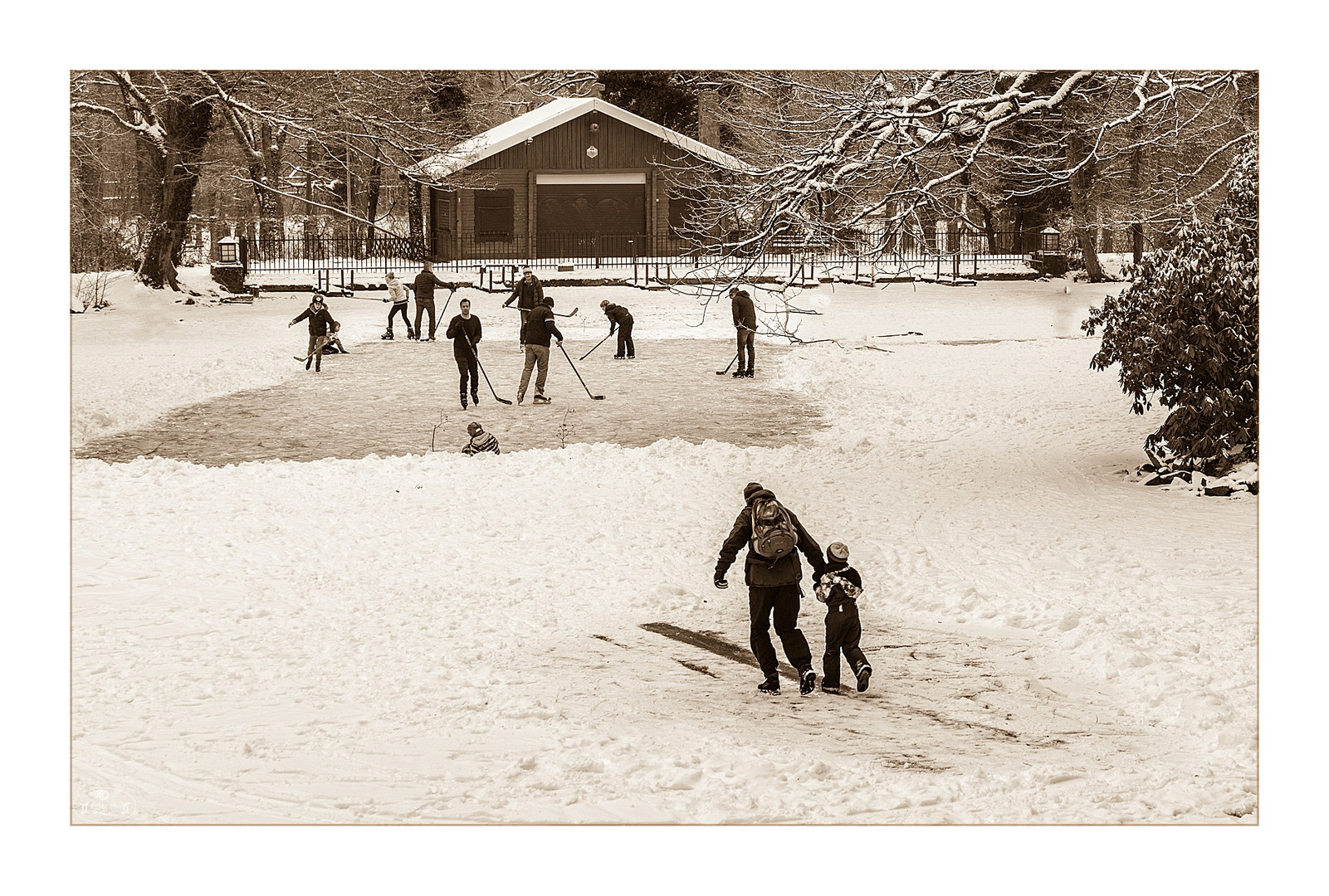 Winterfreuden am Waldsee