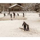 Winterfreuden am Waldsee