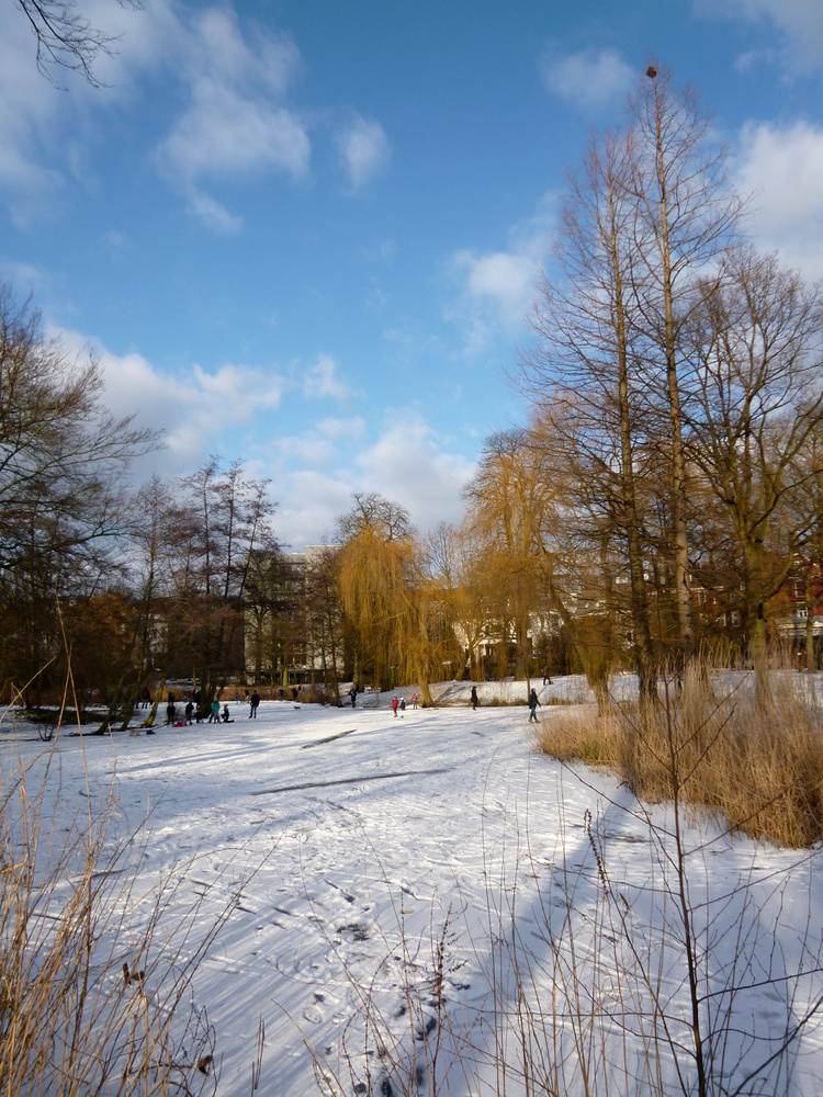 Winterfreuden am Weiher