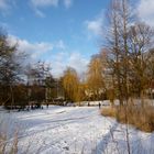 Winterfreuden am Weiher