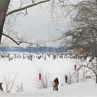 Winterfreuden auf der Alster