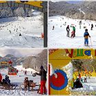 Winterfreuden auf der Piste