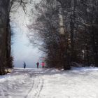 Winterfreuden auf der schwäbischen Alb