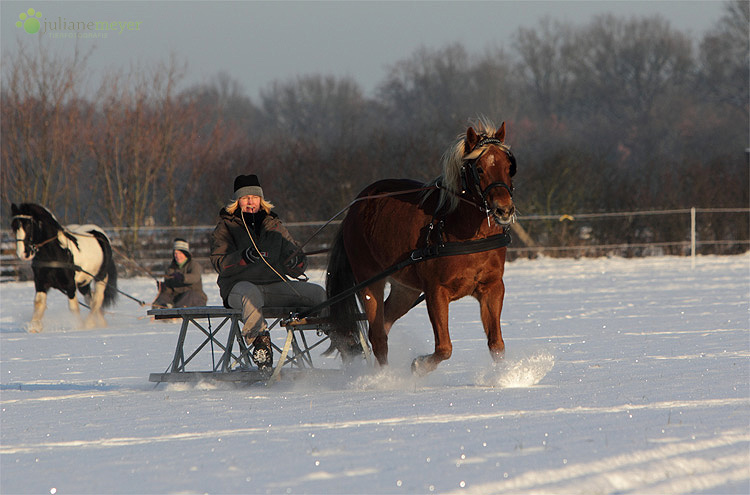 Winterfreuden