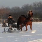 Winterfreuden