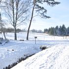 Winterfreuden