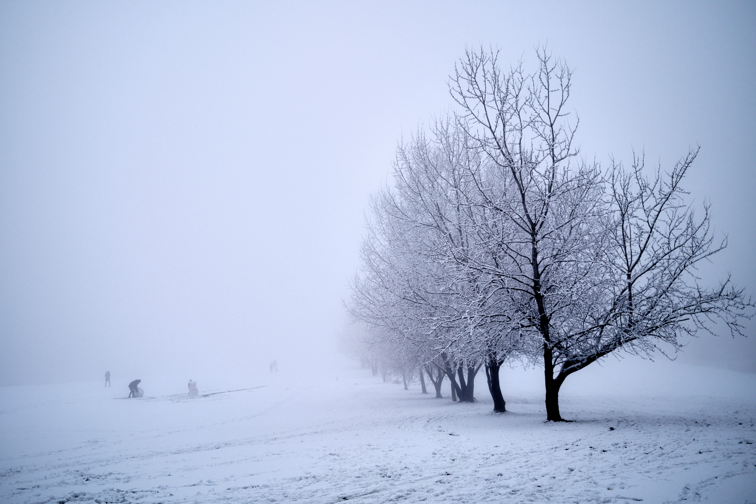 Winterfreuden