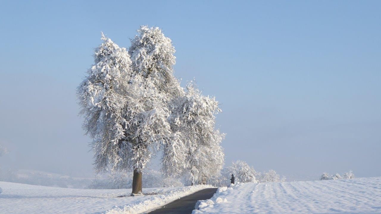 Winterfreuden