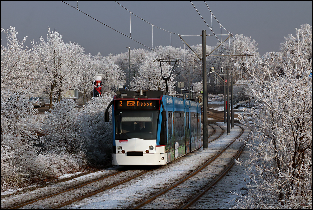 Winterfreuden