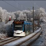 Winterfreuden