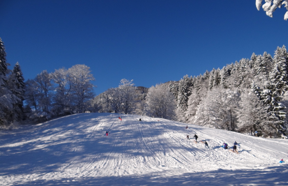 Winterfreuden