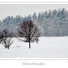 Winterfreuden