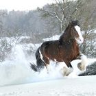 Winterfreuden