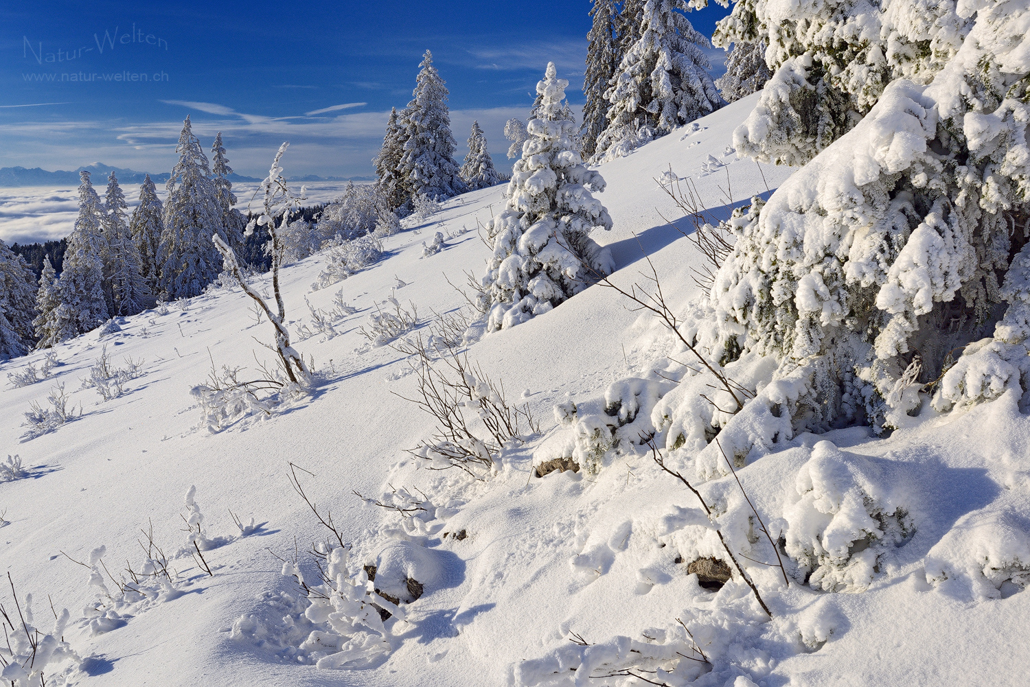 Winterfreuden