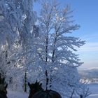 Winterfreuden -