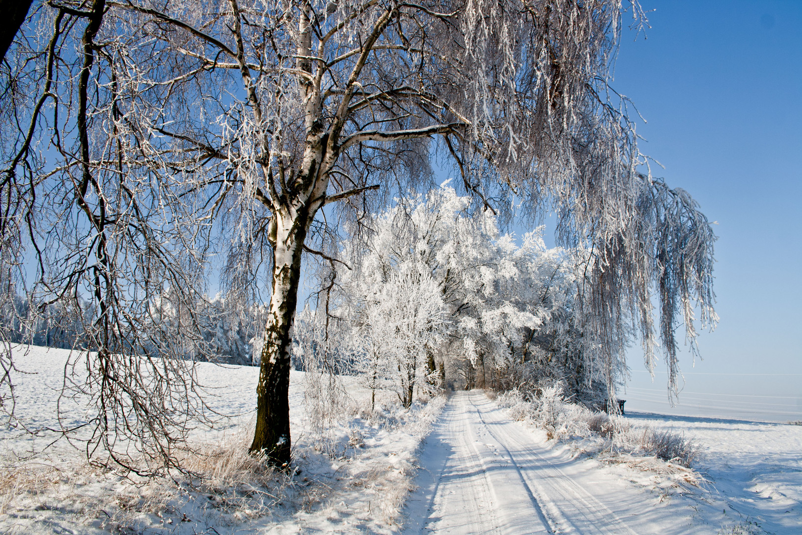 winterfreuden