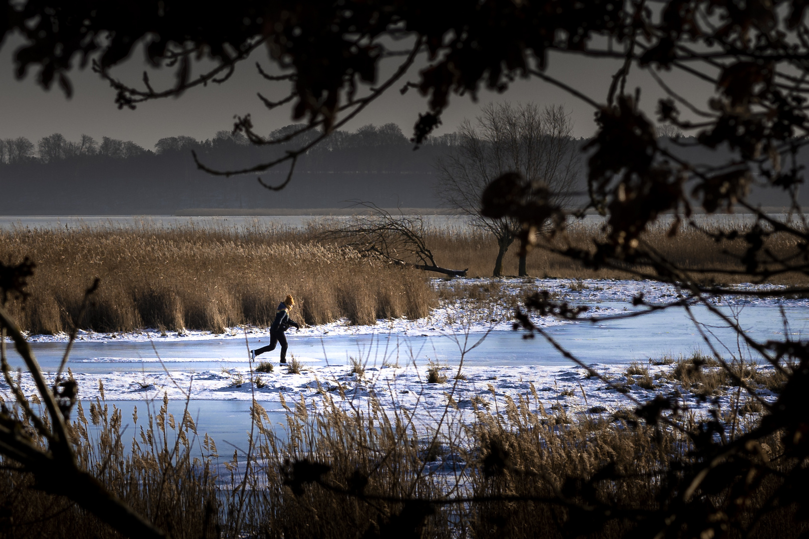 Winterfreuden