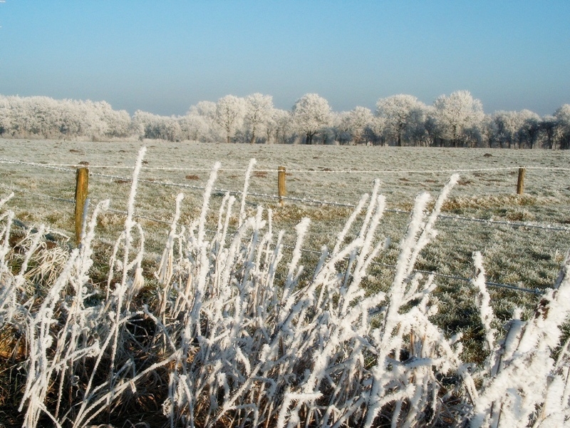 Winterfreuden