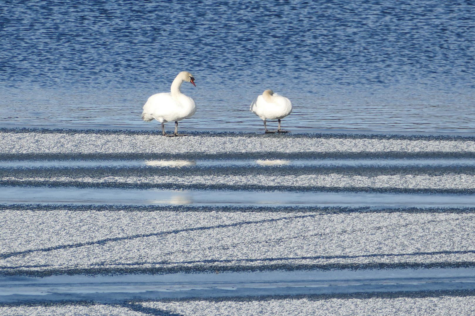 Winterfreuden