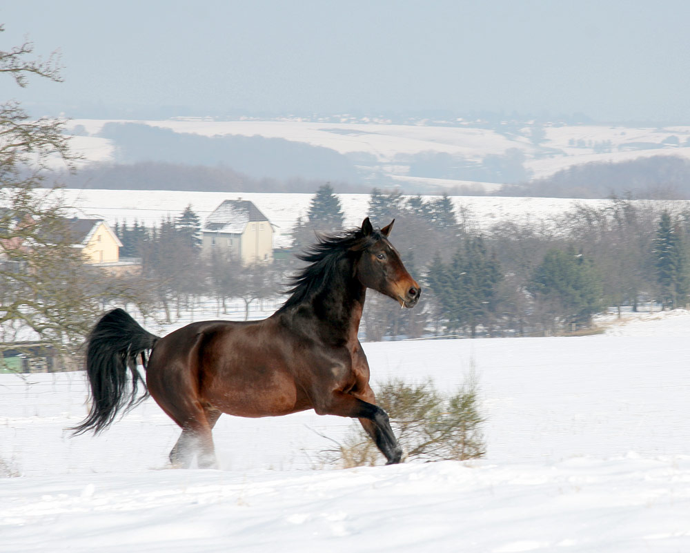 Winterfreuden