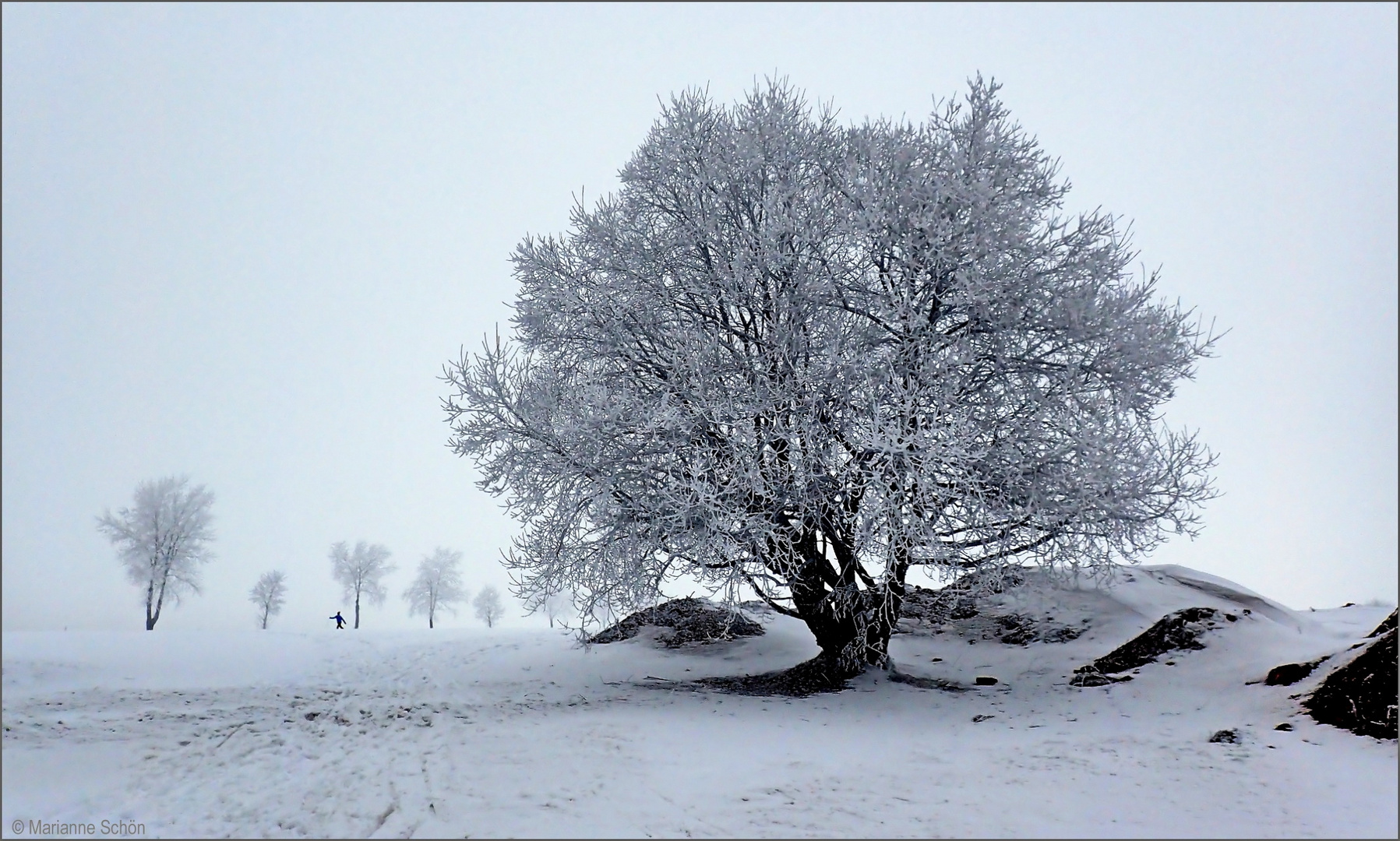 Winterfreuden eines Langläufers...