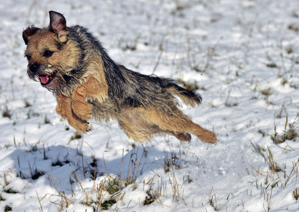 Winterfreuden - endlich Schnee