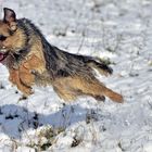 Winterfreuden - endlich Schnee