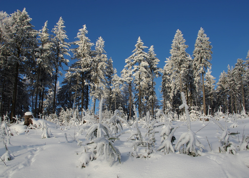 Winterfreuden!