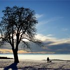 Winterfreuden für Winterfreunde