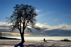 Winterfreuden für Winterfreunde