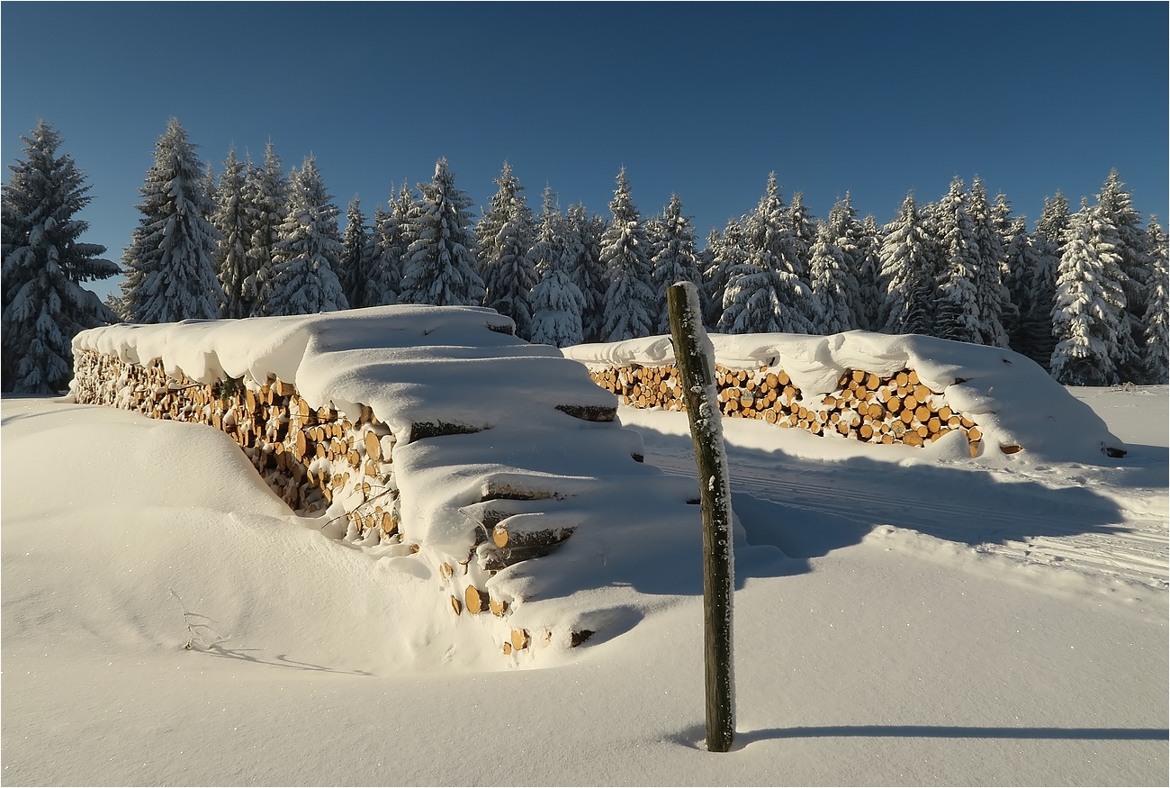 Winterfreuden im Erzi