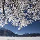 Winterfreuden im Ostallgäu