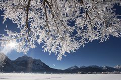 Winterfreuden im Ostallgäu