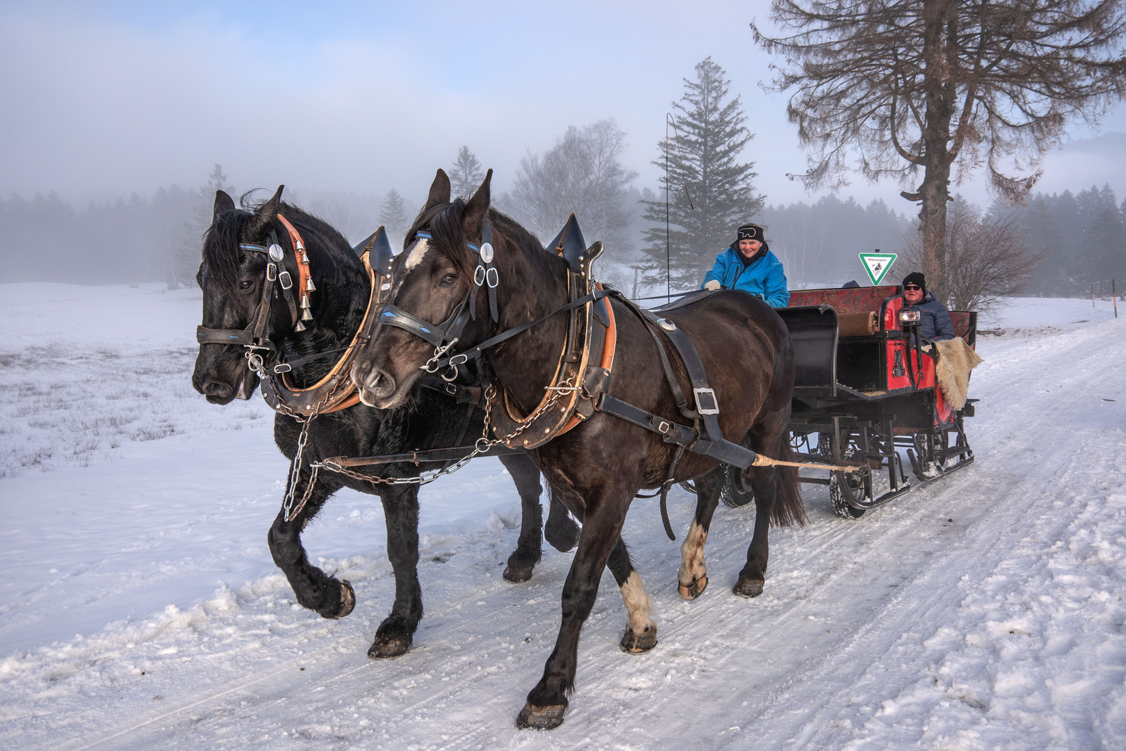 Winterfreuden im Ostallgäu