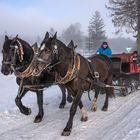 Winterfreuden im Ostallgäu