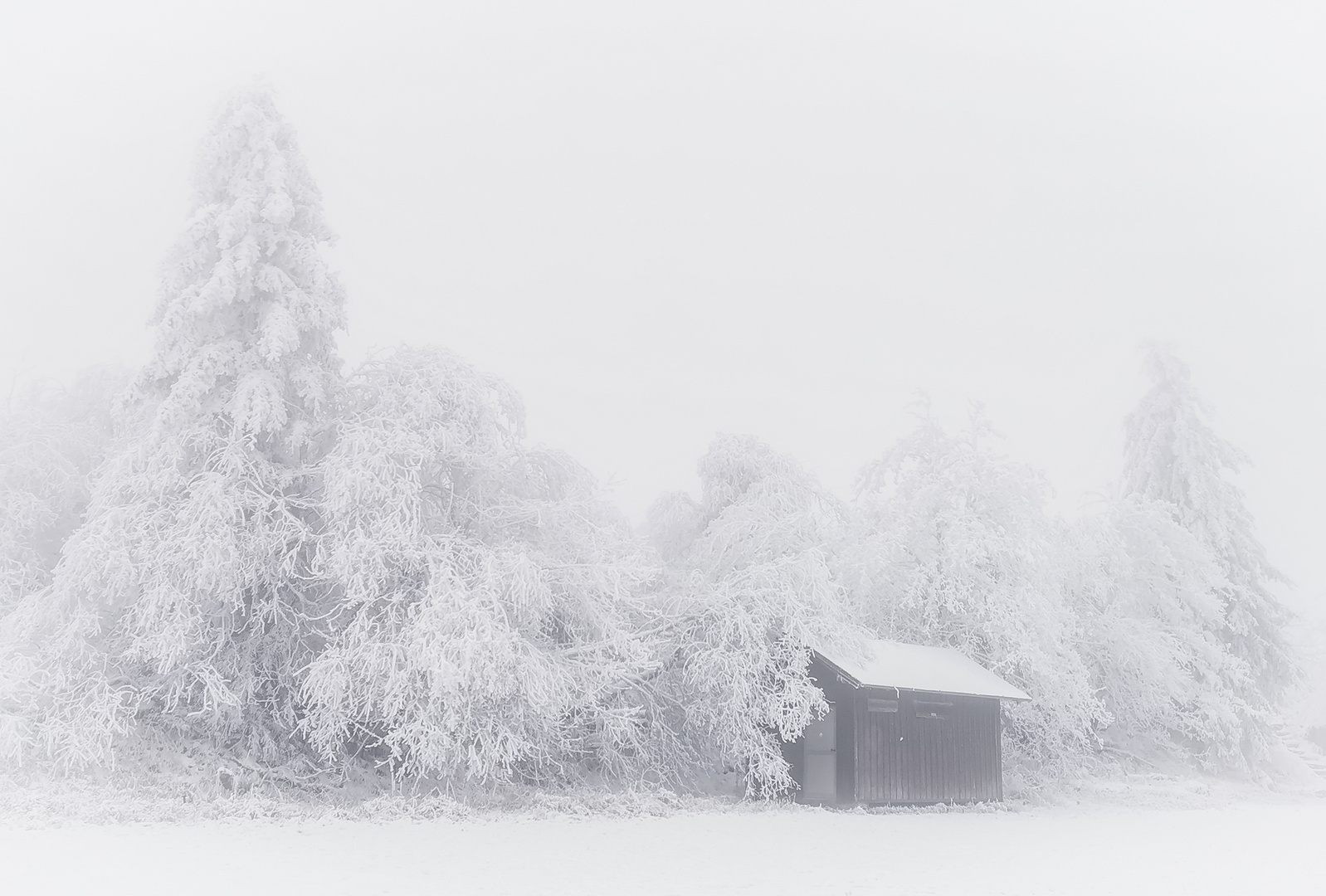 Winterfreuden im Taunus