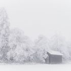 Winterfreuden im Taunus