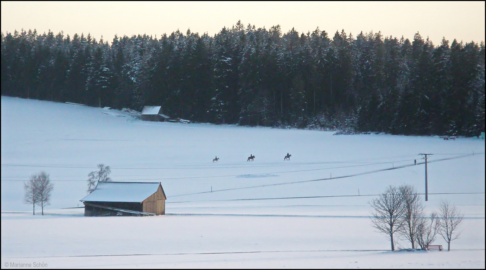 Winterfreuden in der Abendsonne...