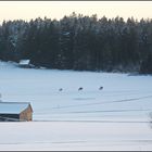 Winterfreuden in der Abendsonne...