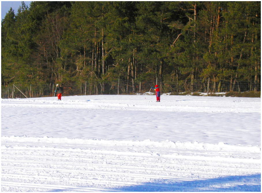 Winterfreuden in der Eifel