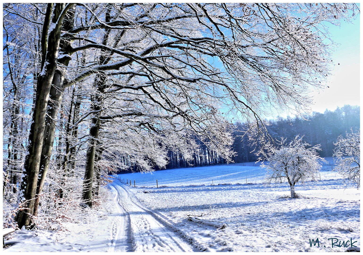 Winterfreuden Pur !