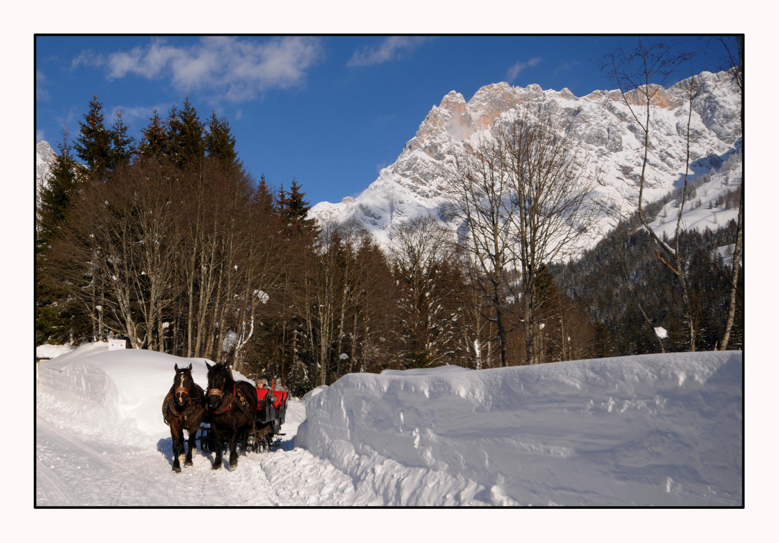 Winterfreuden pur - Pferdeschlittenfaht in Maria Alm - HIntertal