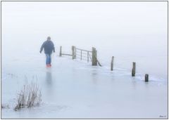 Winterfreuden zwischen Nebel und Eis