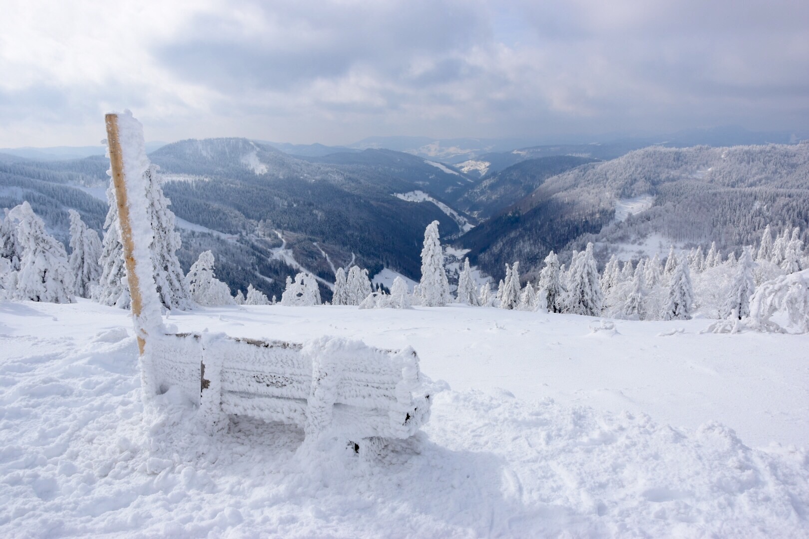 Winterfrieden