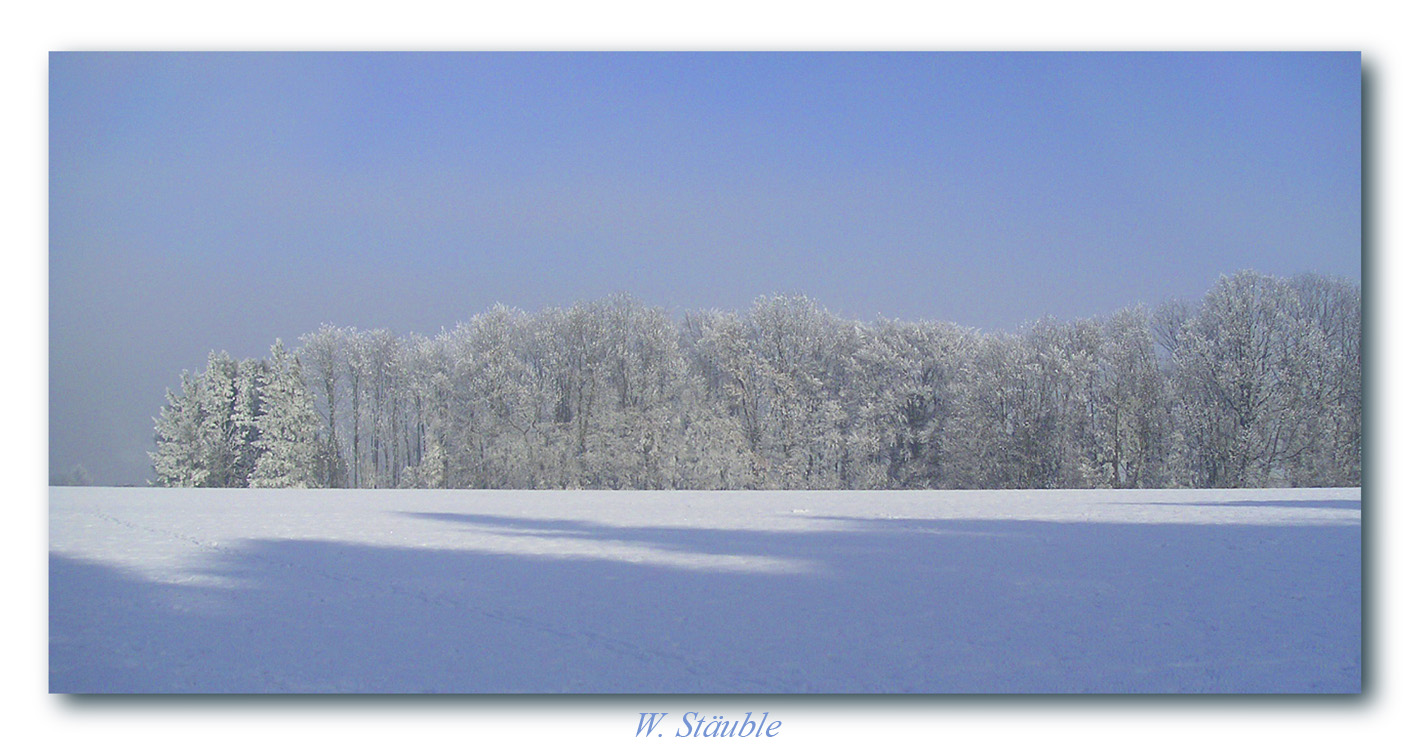 Winterfrost